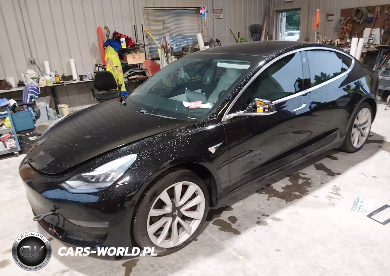 2019 Tesla Model 3 Long Range-Performance VIN:5YJ3E1EB6KF391478 - 2
