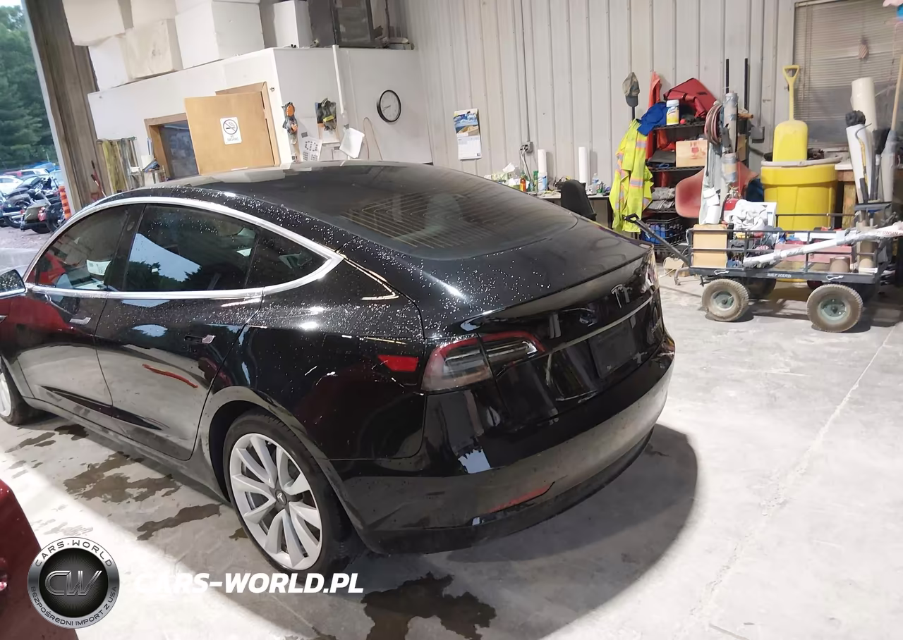 2019 Tesla Model 3 Long Range-Performance VIN:5YJ3E1EB6KF391478 - 3