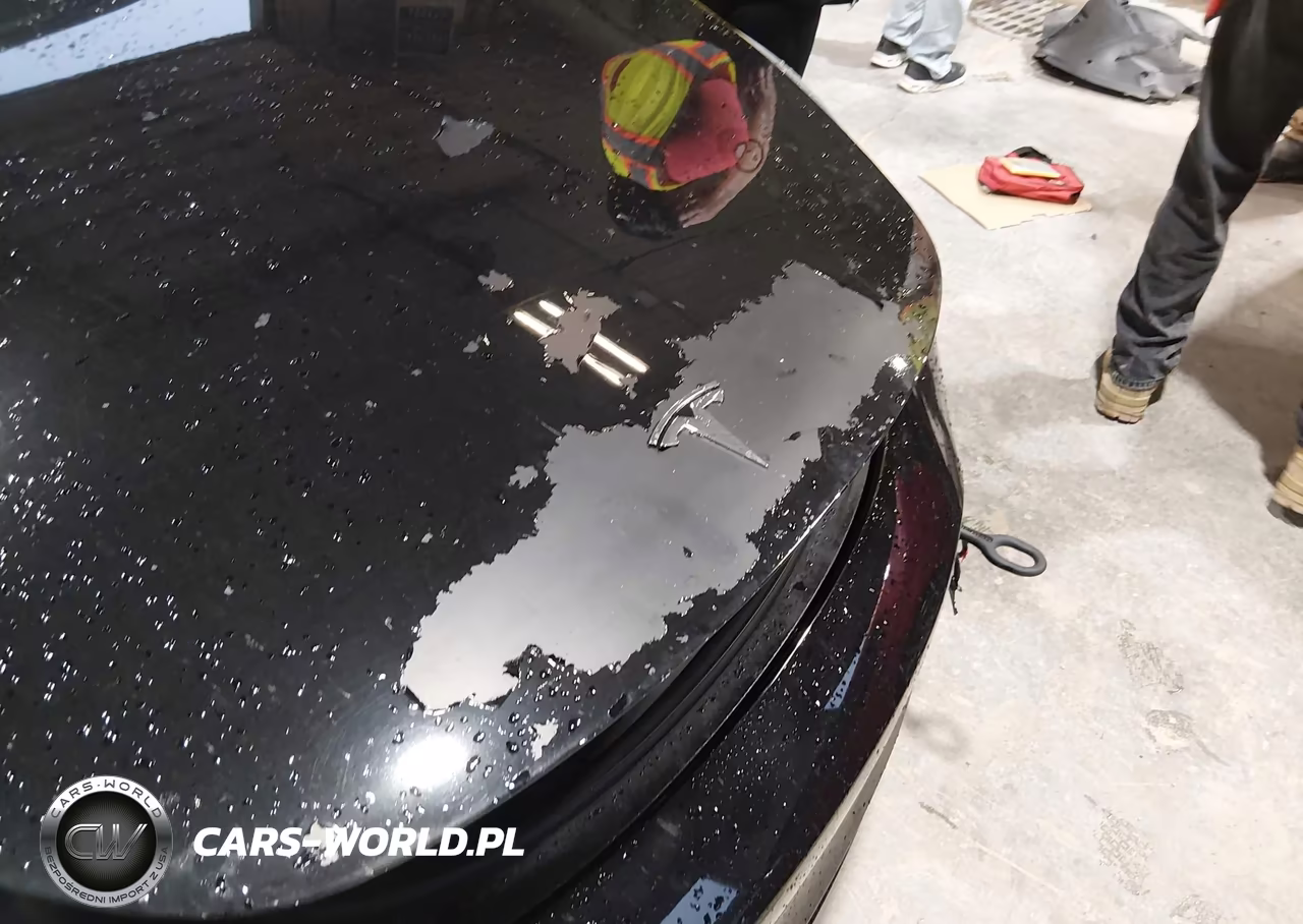 2019 Tesla Model 3 Long Range-Performance VIN:5YJ3E1EB6KF391478 - 6