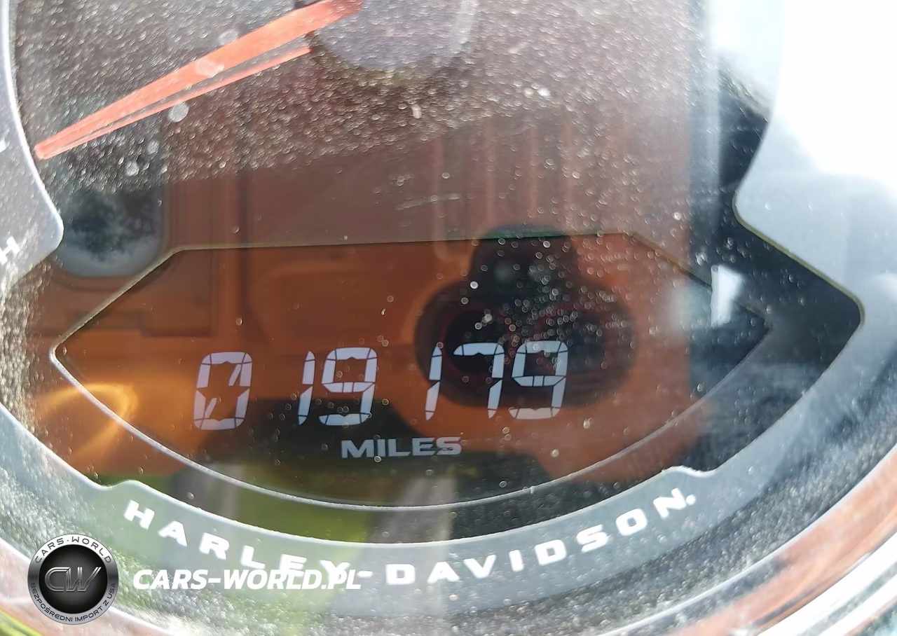 2018 Harley-Davidson Flsb Sport Glide VIN:1HD1YMJ2XJC038466 - 13