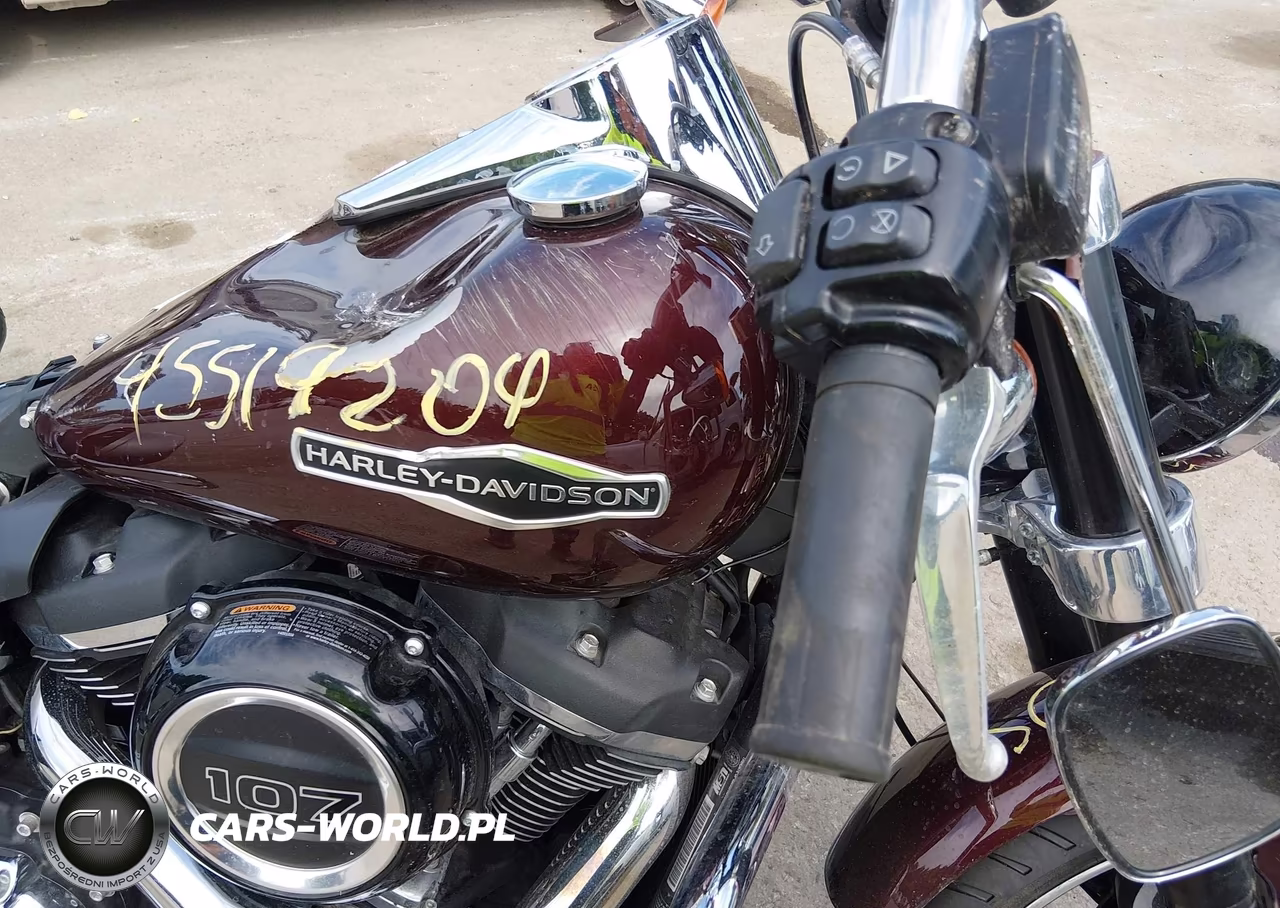 2018 Harley-Davidson Flsb Sport Glide VIN:1HD1YMJ2XJC038466 - 15