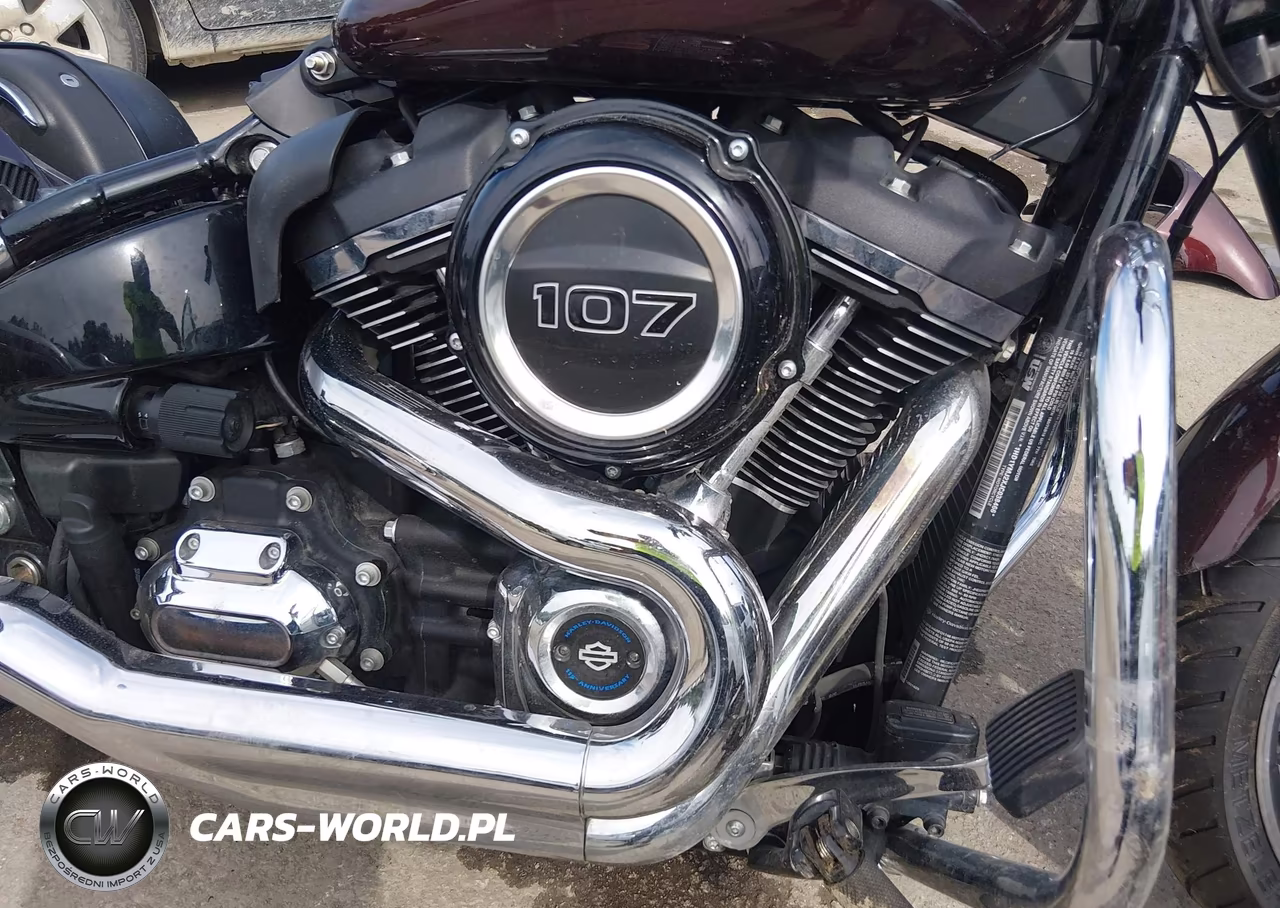 2018 Harley-Davidson Flsb Sport Glide VIN:1HD1YMJ2XJC038466 - 8
