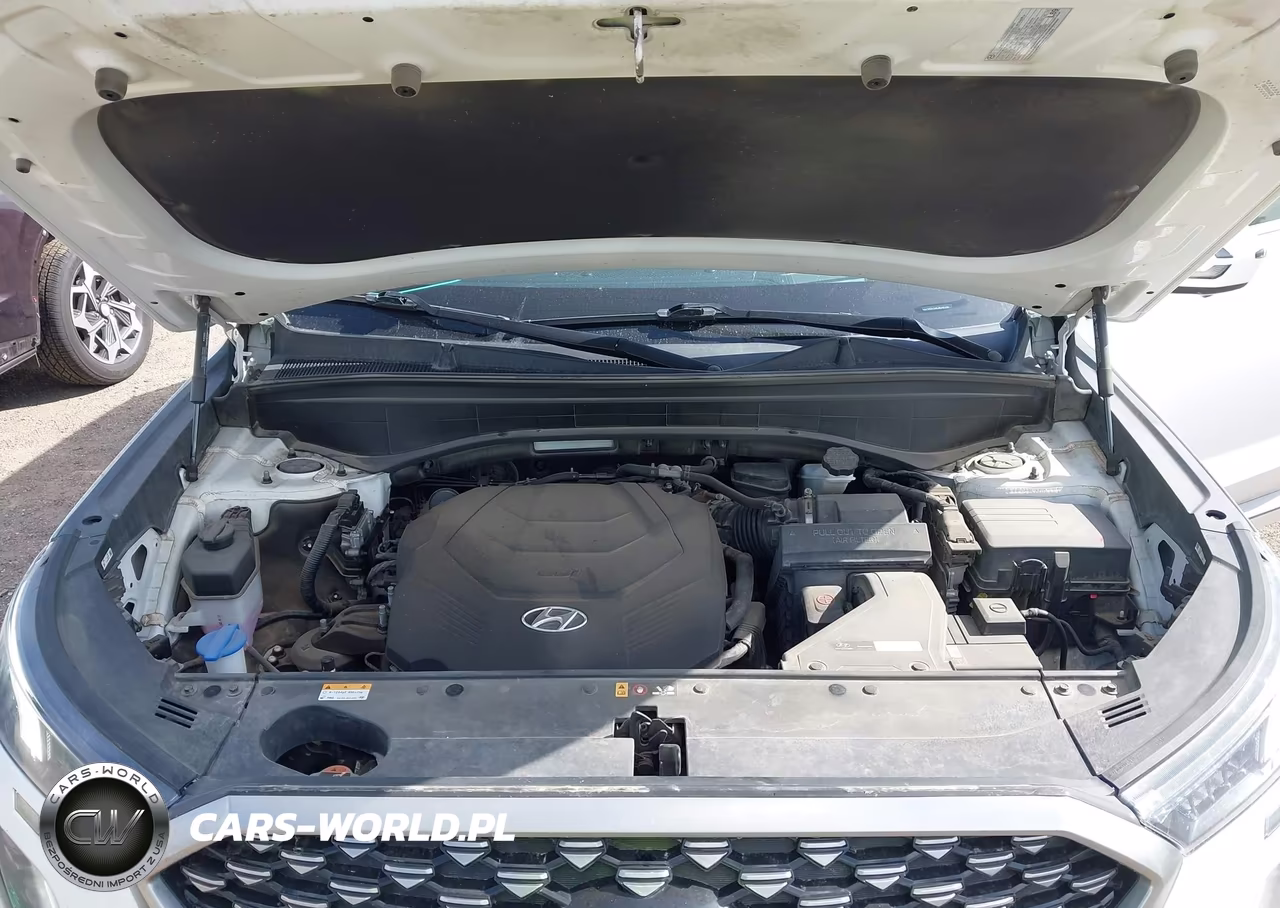 2022 Hyundai Palisade Calligraphy VIN:KM8R7DHE5NU465766 - 10