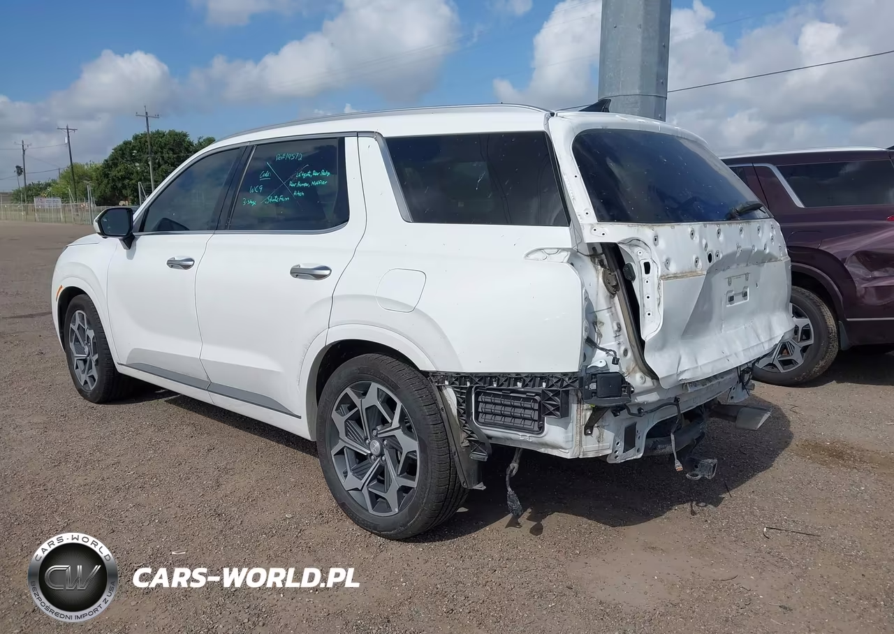 2022 Hyundai Palisade Calligraphy VIN:KM8R7DHE5NU465766 - 3