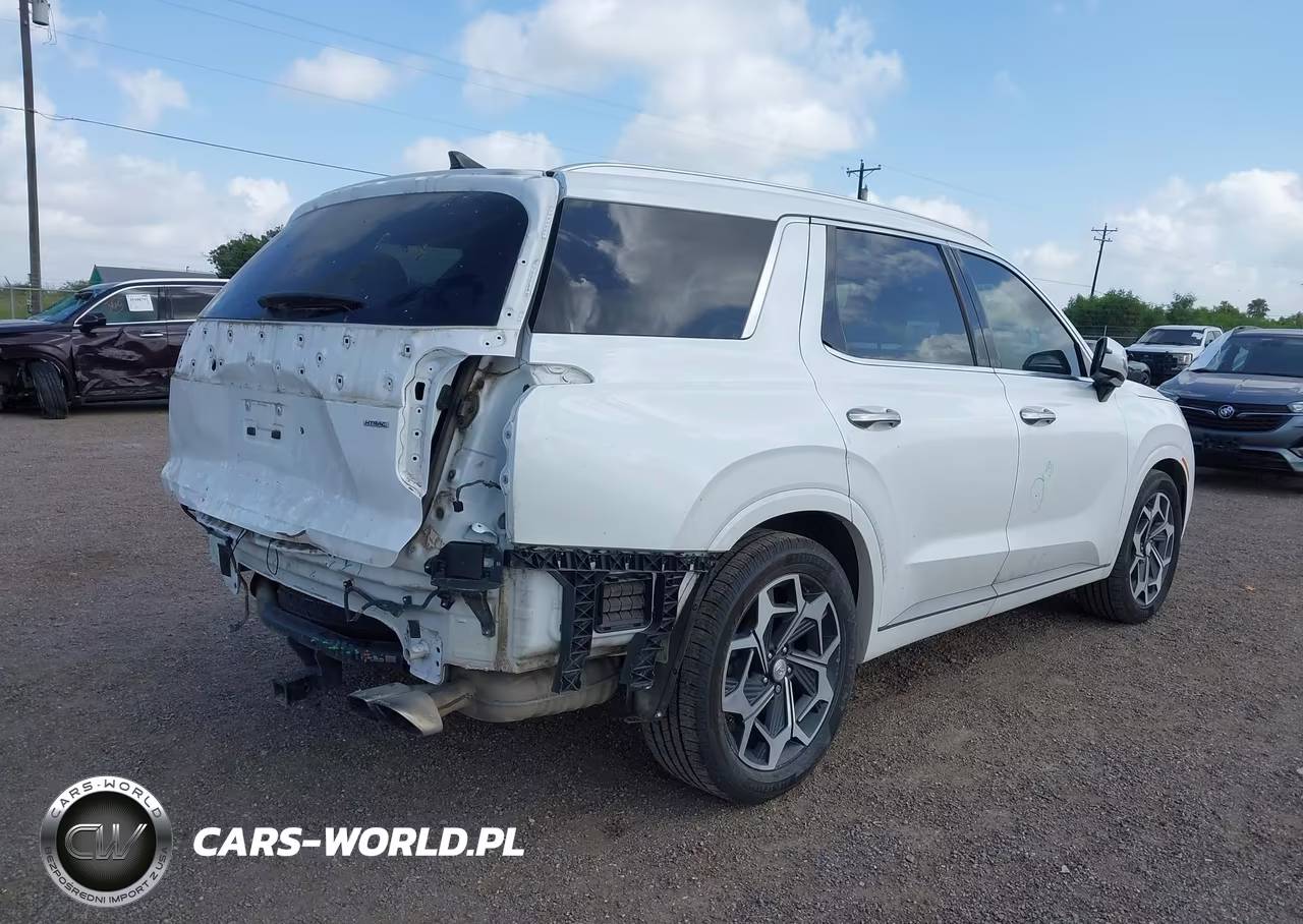 2022 Hyundai Palisade Calligraphy VIN:KM8R7DHE5NU465766 - 4