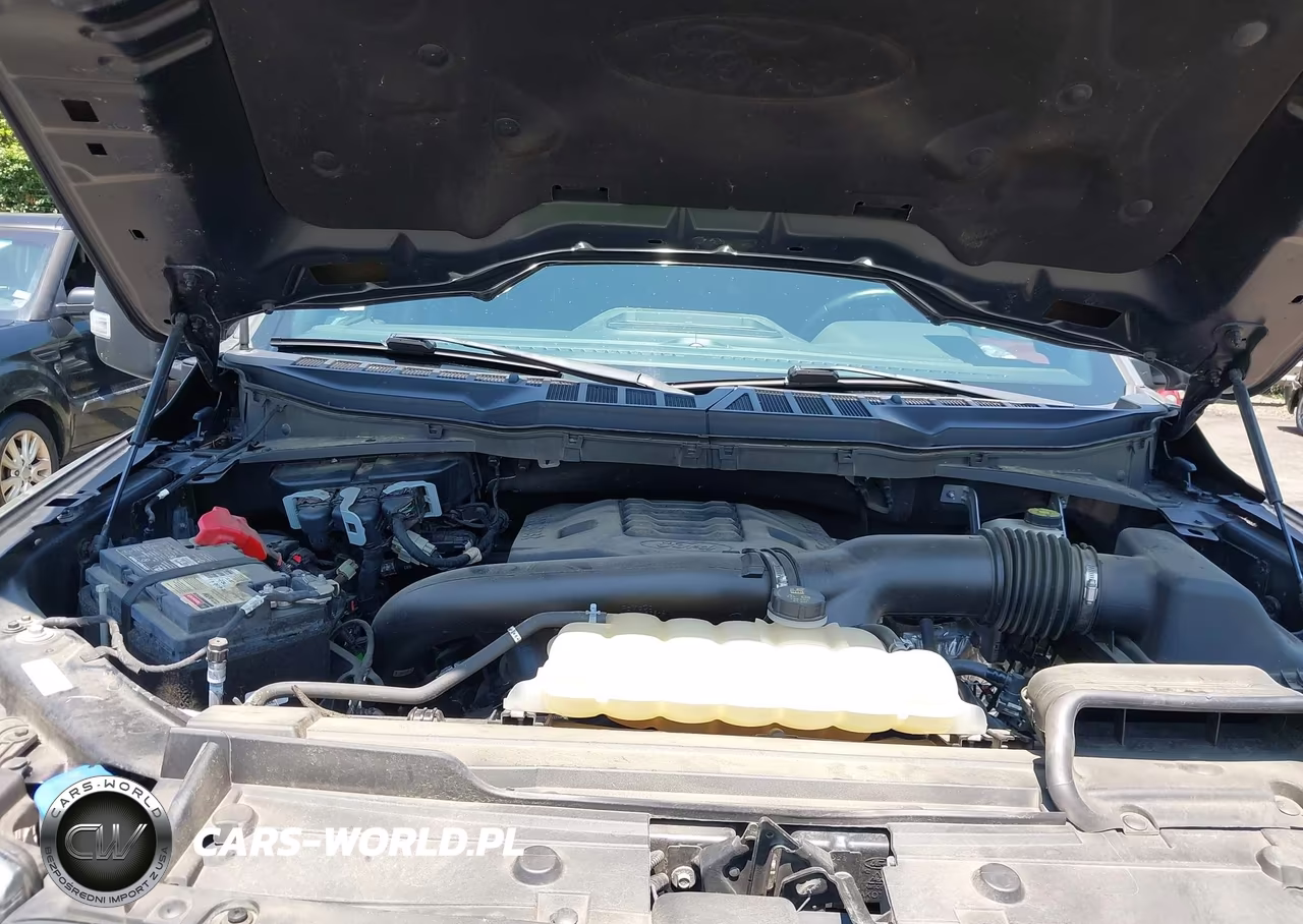 2021 Ford F-150 Xlt VIN:1FTFW1E81MFC60763 - 10