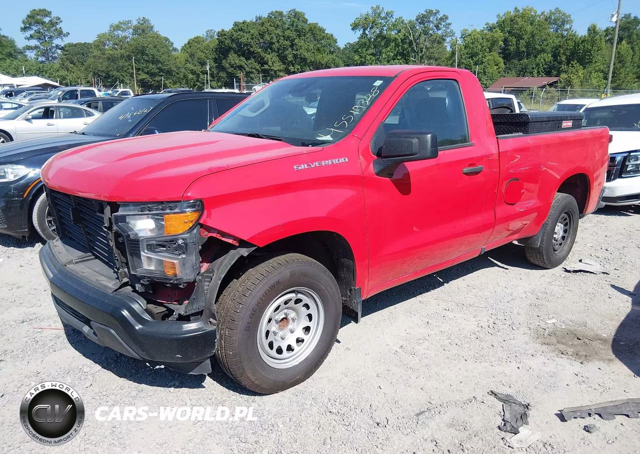 2023 Chevrolet Silverado 1500 2Wd Long Bed Wt VIN:3GCNAAEK2PG102859 - 2