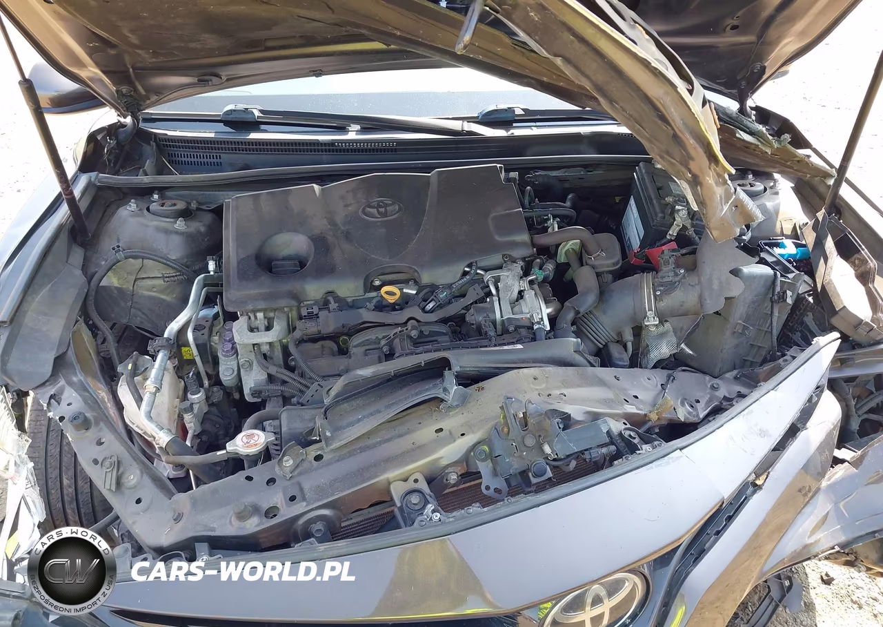 2018 Toyota Camry Le VIN:4T1B11HK1JU079900 - 10