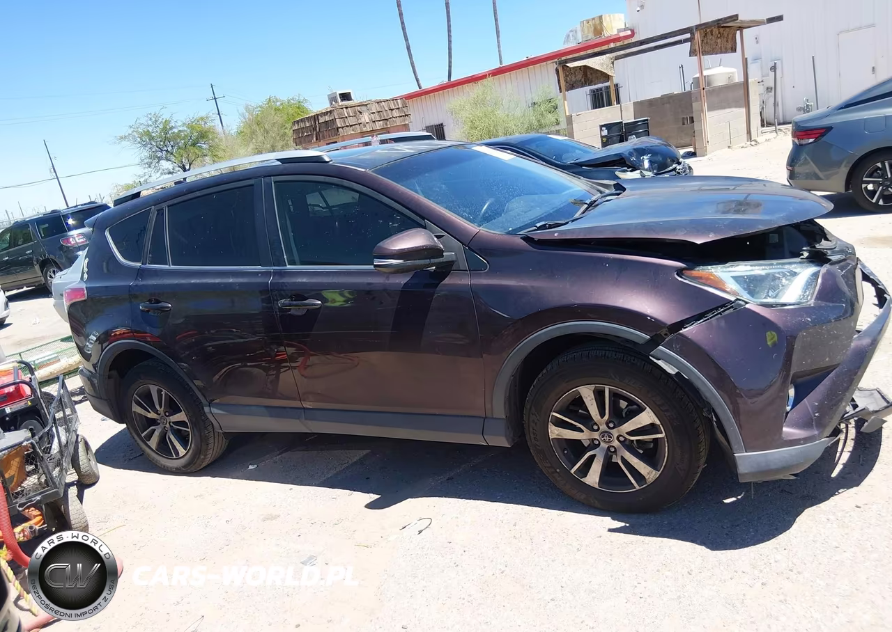 2016 Toyota Rav4 Xle VIN:2T3WFREV4GW311504 - 12