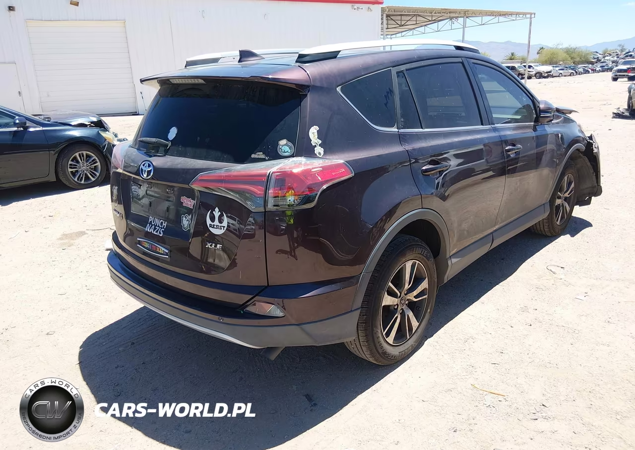2016 Toyota Rav4 Xle VIN:2T3WFREV4GW311504 - 4