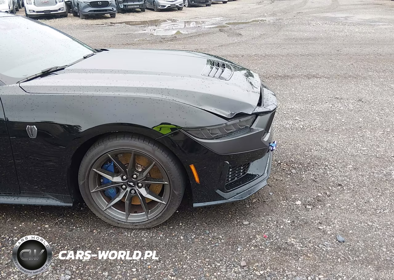 2024 Ford Mustang Dark Horse Fastback VIN:1FA6P8R03R5504166 - 15