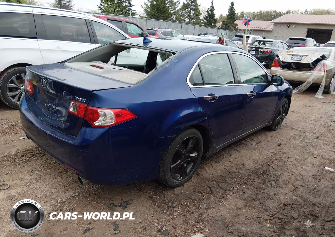 2009 Acura Tsx VIN:JH4CU26699C010237 - 4