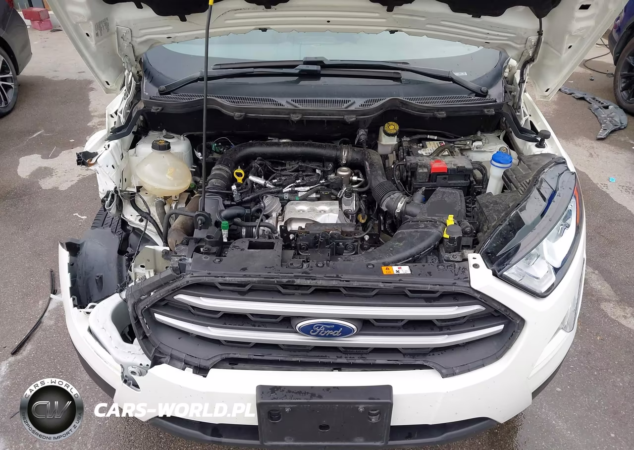 2019 Ford Ecosport Se VIN:MAJ3S2GE6KC299067 - 10