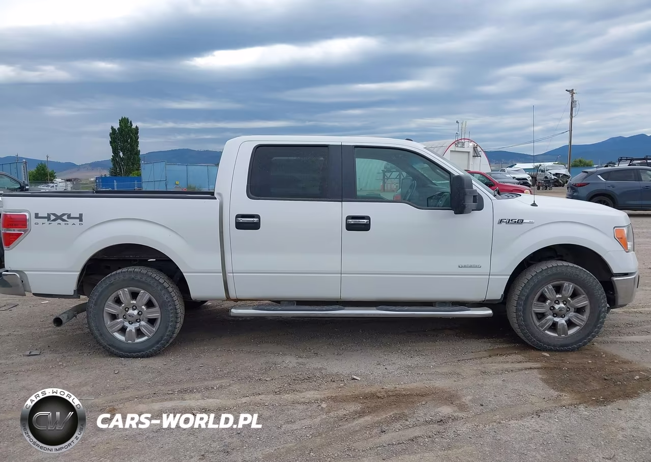2011 Ford F-150 Fx4-King Ranch-Lariat-Platinum-Xlt VIN:1FTFW1ET8BKD91858 - 13