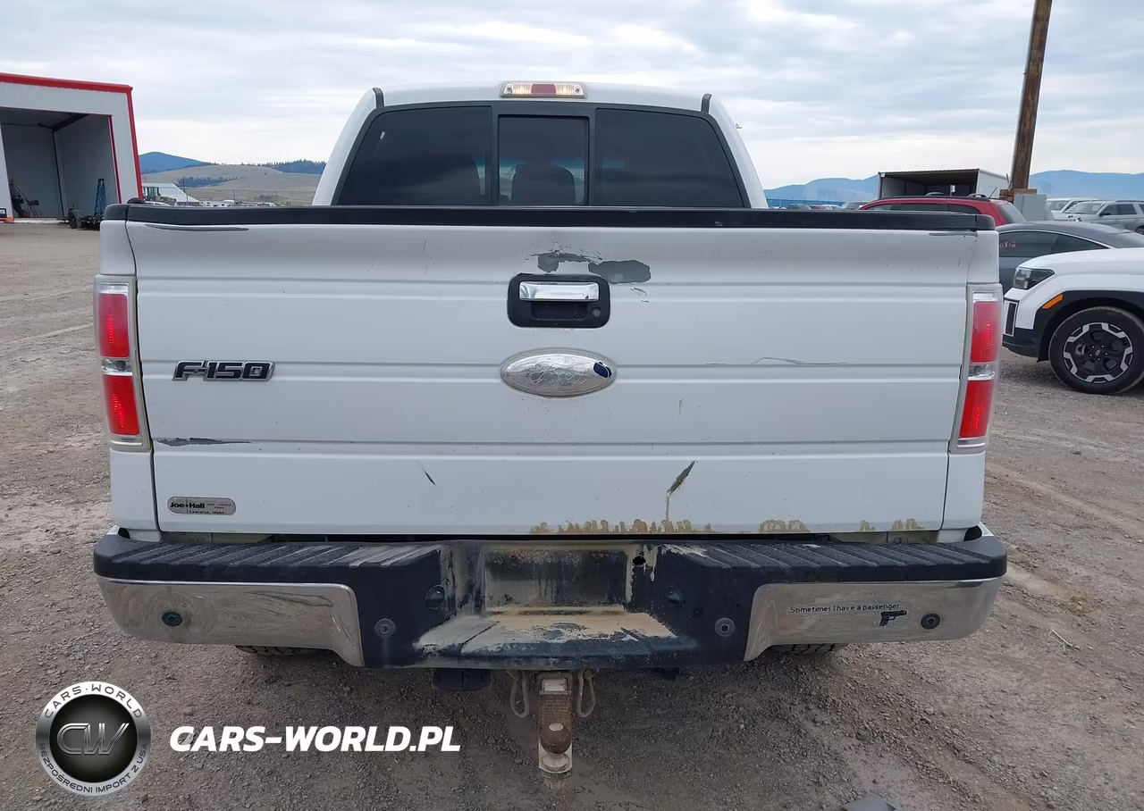 2011 Ford F-150 Fx4-King Ranch-Lariat-Platinum-Xlt VIN:1FTFW1ET8BKD91858 - 16
