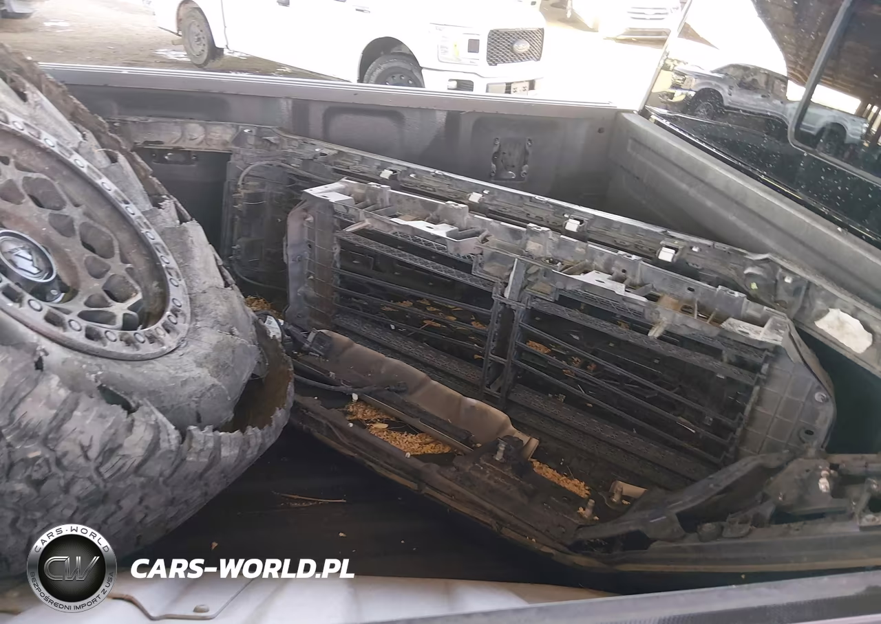 2021 Ford F-150 Raptor VIN:1FTFW1RG6MFC63658 - 12