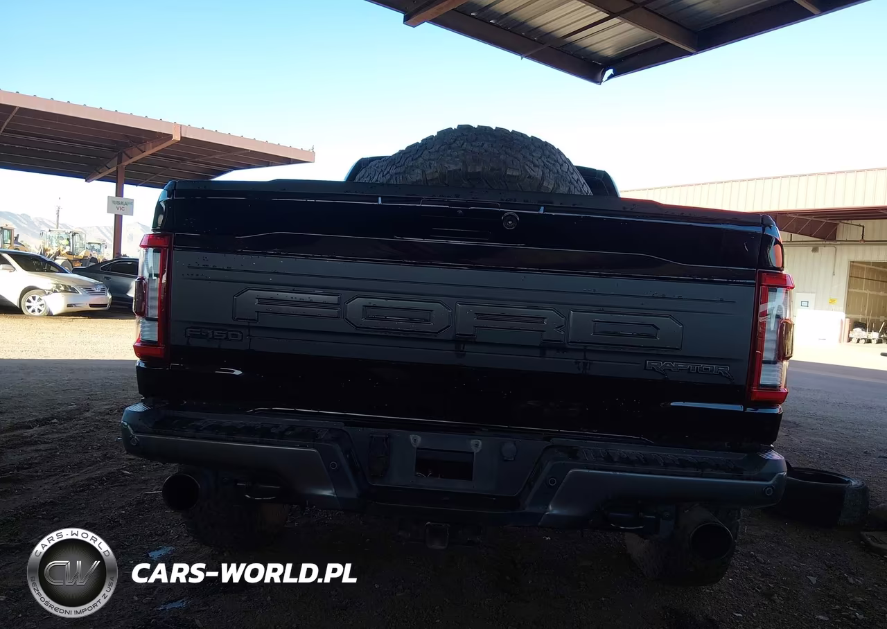 2021 Ford F-150 Raptor VIN:1FTFW1RG6MFC63658 - 17
