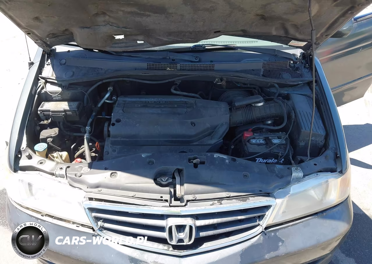 2003 Honda Odyssey Ex-L VIN:5FNRL18963B115179 - 10