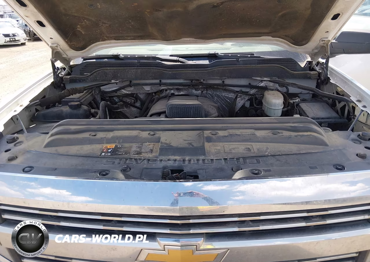 2015 Chevrolet Silverado 2500Hd Work Truck VIN:1GC2CUEG2FZ117953 - 10
