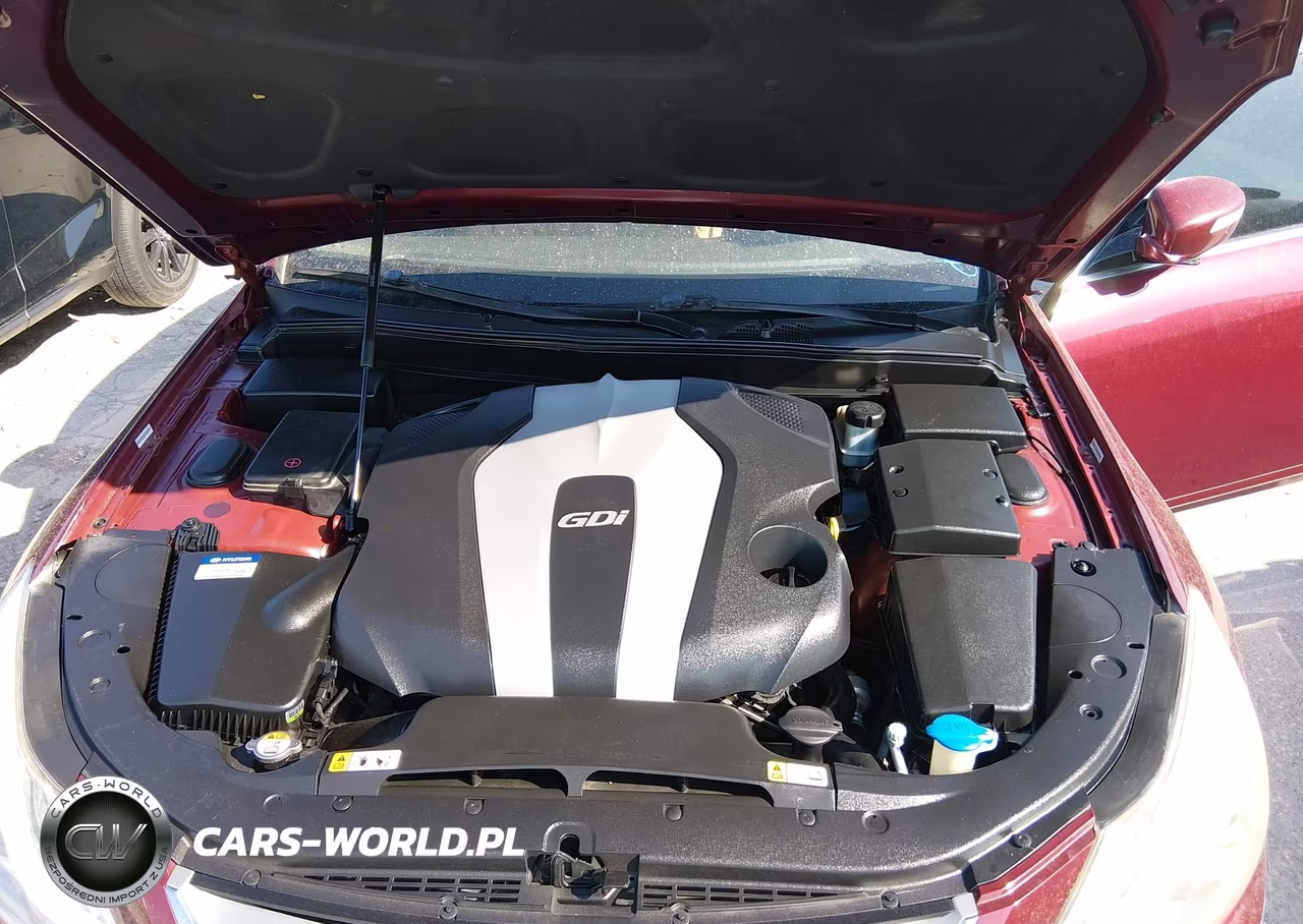 2013 Hyundai Genesis 3.8 VIN:KMHGC4DDXDU239429 - 10