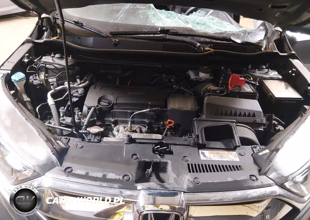 2019 Honda Cr-V Lx VIN:2HKRW5H36KH404783 - 10