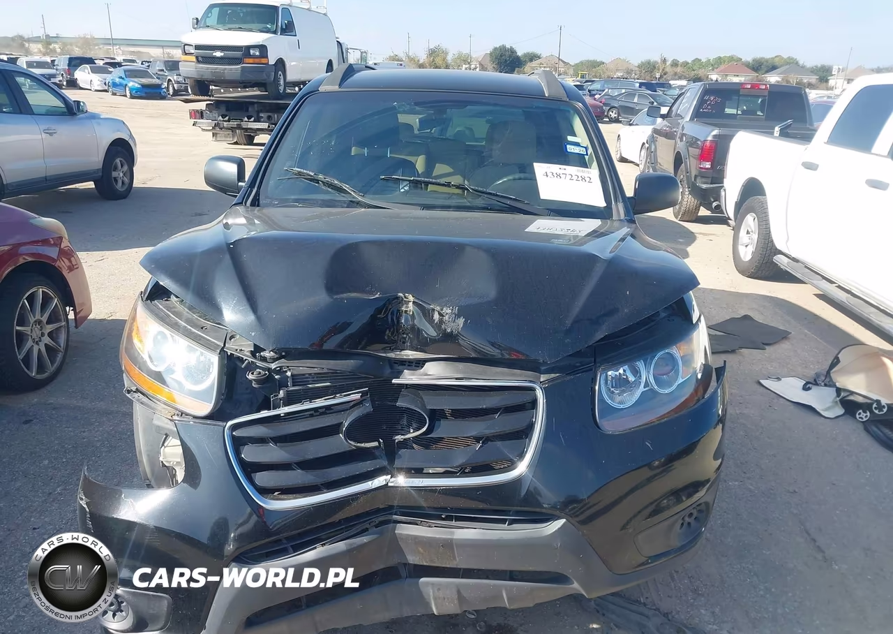 2010 Hyundai Santa Fe Gls VIN:5NMSG3AB2AH348521 - 12