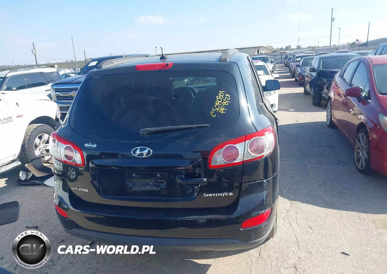 2010 Hyundai Santa Fe Gls VIN:5NMSG3AB2AH348521 - 16