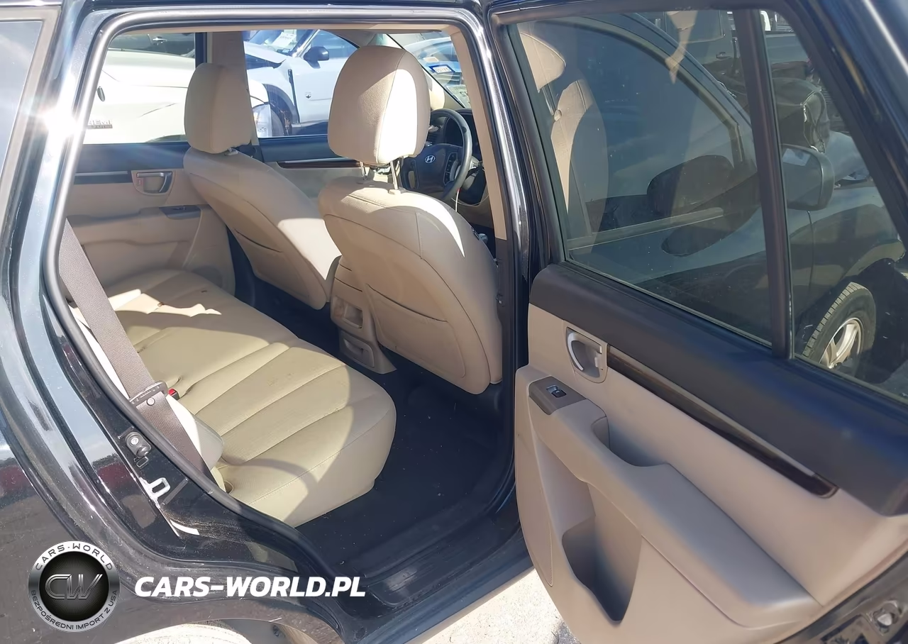 2010 Hyundai Santa Fe Gls VIN:5NMSG3AB2AH348521 - 8