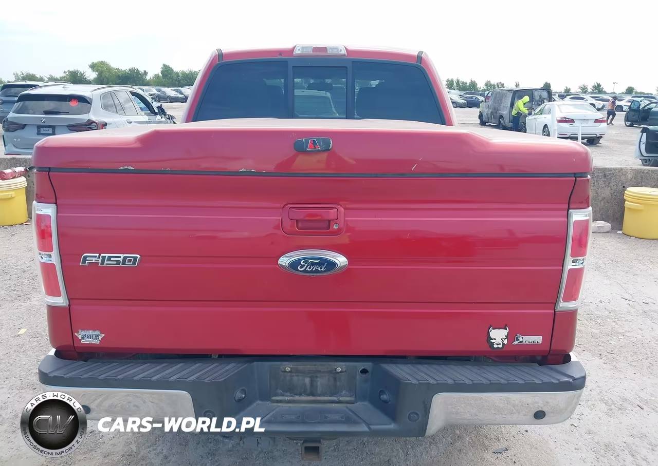 2010 Ford F-150 Fx2 Sport-Harley-Davidson-King Ranch-Lariat-Platinum-Xl-Xlt VIN:1FTFW1CV2AFD93603 - 16