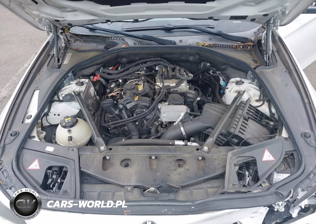 2015 BMW 528I xDrive VIN:WBA5A7C52FG143838 - 10