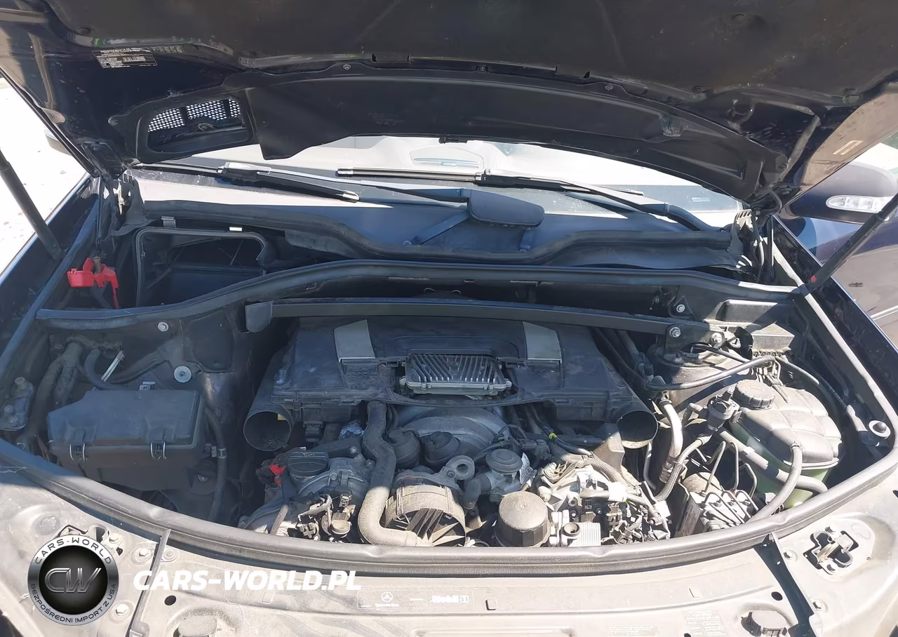 2008 Mercedes-Benz Gl-Class 4.6L VIN:4JGBF71E38A338388 - 10