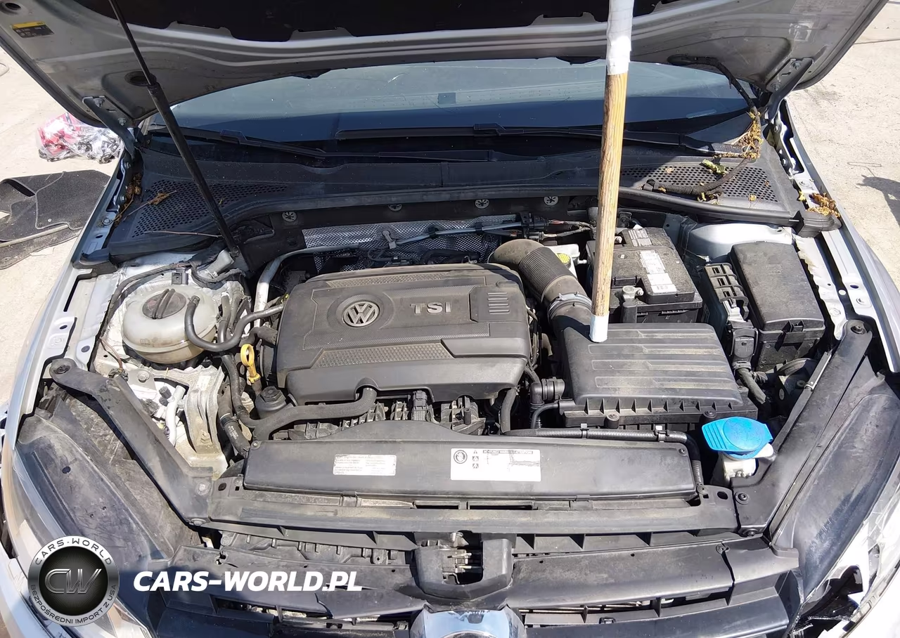 2015 Volkswagen Golf Sportwagen Tsi Se 4-Door VIN:3VWC17AU8FM517280 - 10