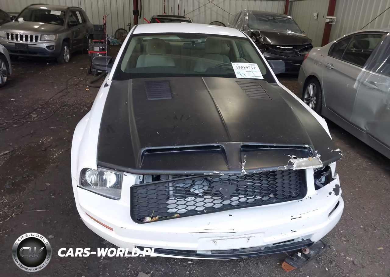2005 Ford Mustang V6 Deluxe-V6 Premium VIN:1ZVFT80N655107735 - 12