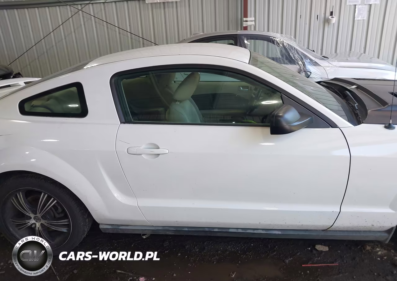 2005 Ford Mustang V6 Deluxe-V6 Premium VIN:1ZVFT80N655107735 - 13