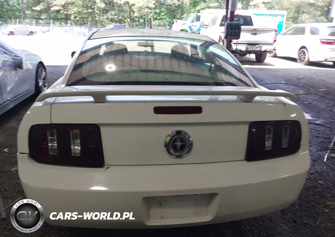 2005 Ford Mustang V6 Deluxe-V6 Premium VIN:1ZVFT80N655107735 - 16