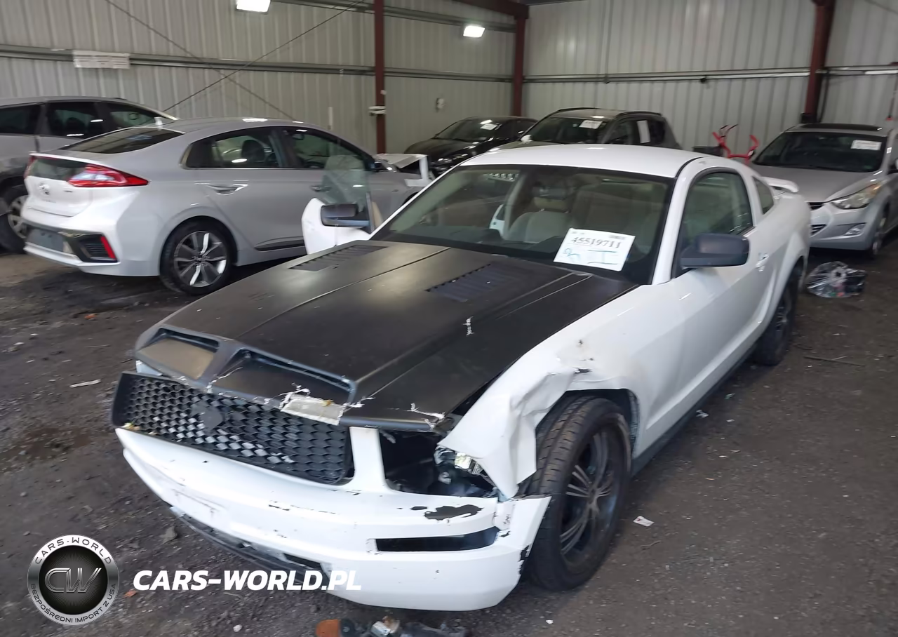 2005 Ford Mustang V6 Deluxe-V6 Premium VIN:1ZVFT80N655107735 - 2