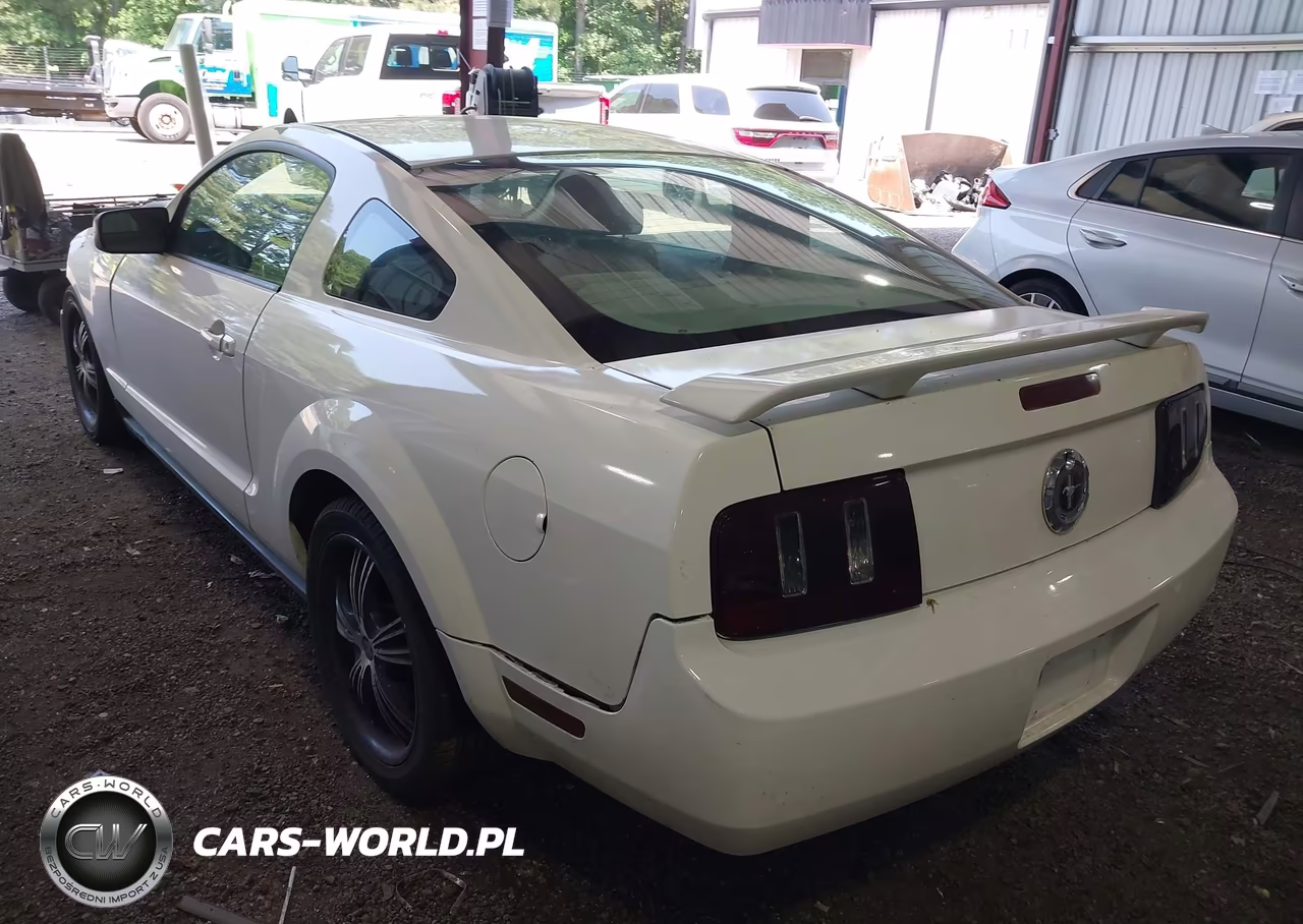 2005 Ford Mustang V6 Deluxe-V6 Premium VIN:1ZVFT80N655107735 - 3