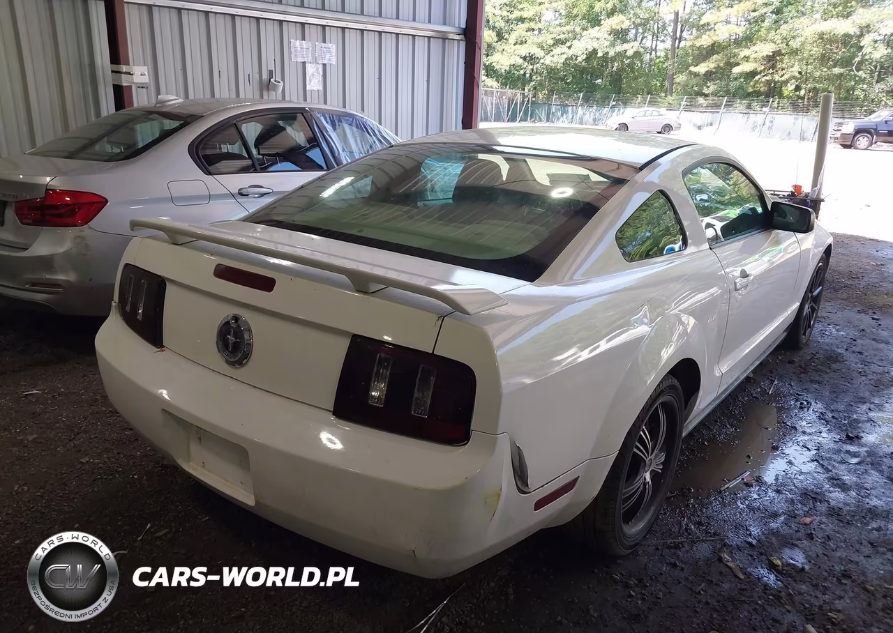 2005 Ford Mustang V6 Deluxe-V6 Premium VIN:1ZVFT80N655107735 - 4