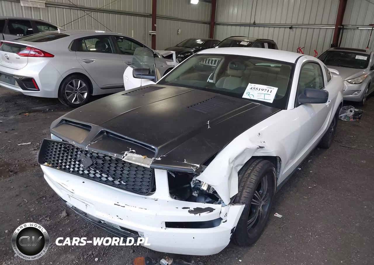 2005 Ford Mustang V6 Deluxe-V6 Premium VIN:1ZVFT80N655107735 - 6