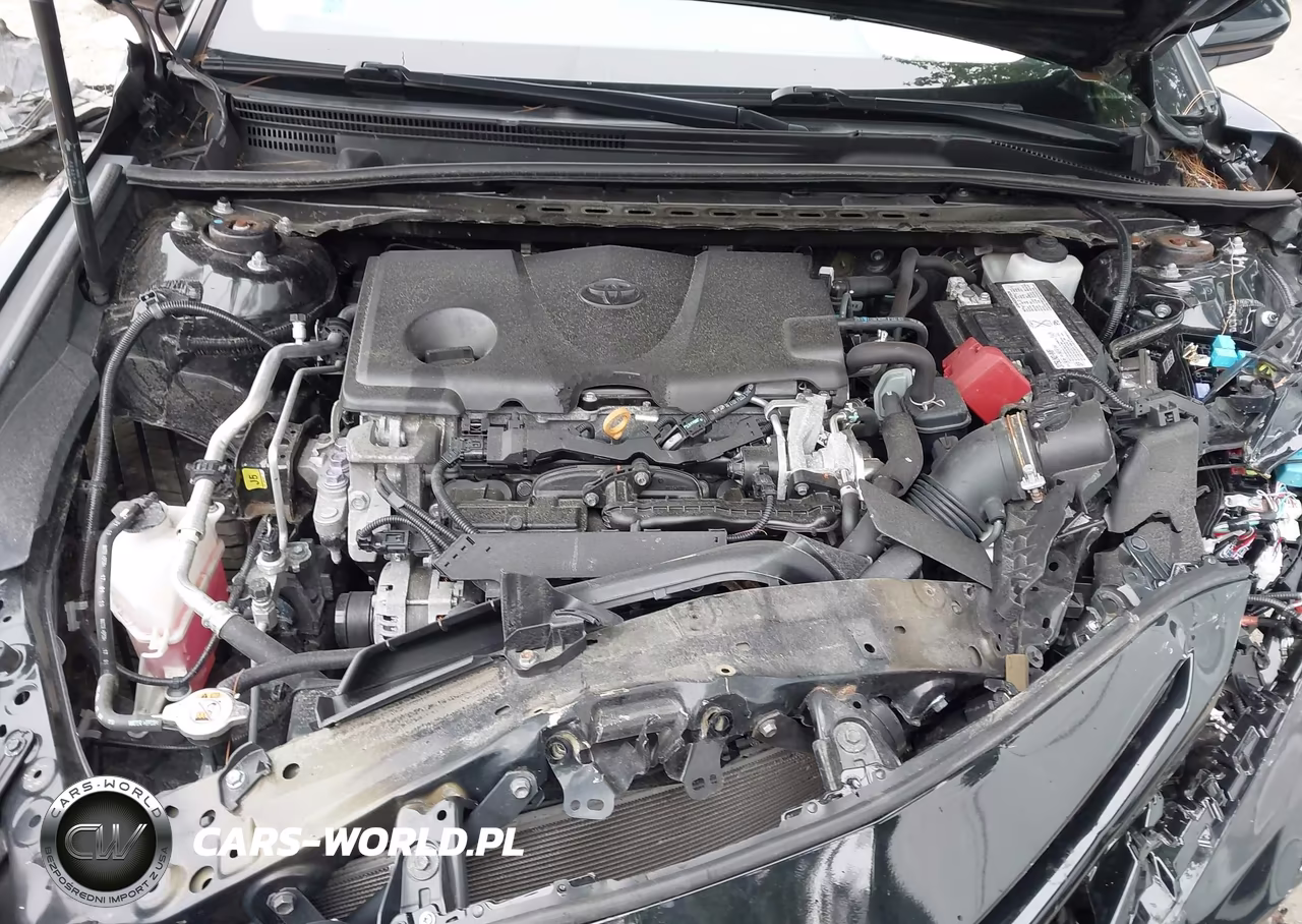 2019 Toyota Camry Se VIN:4T1B11HK0KU292449 - 10