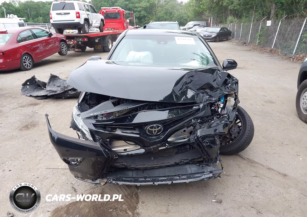 2019 Toyota Camry Se VIN:4T1B11HK0KU292449 - 11