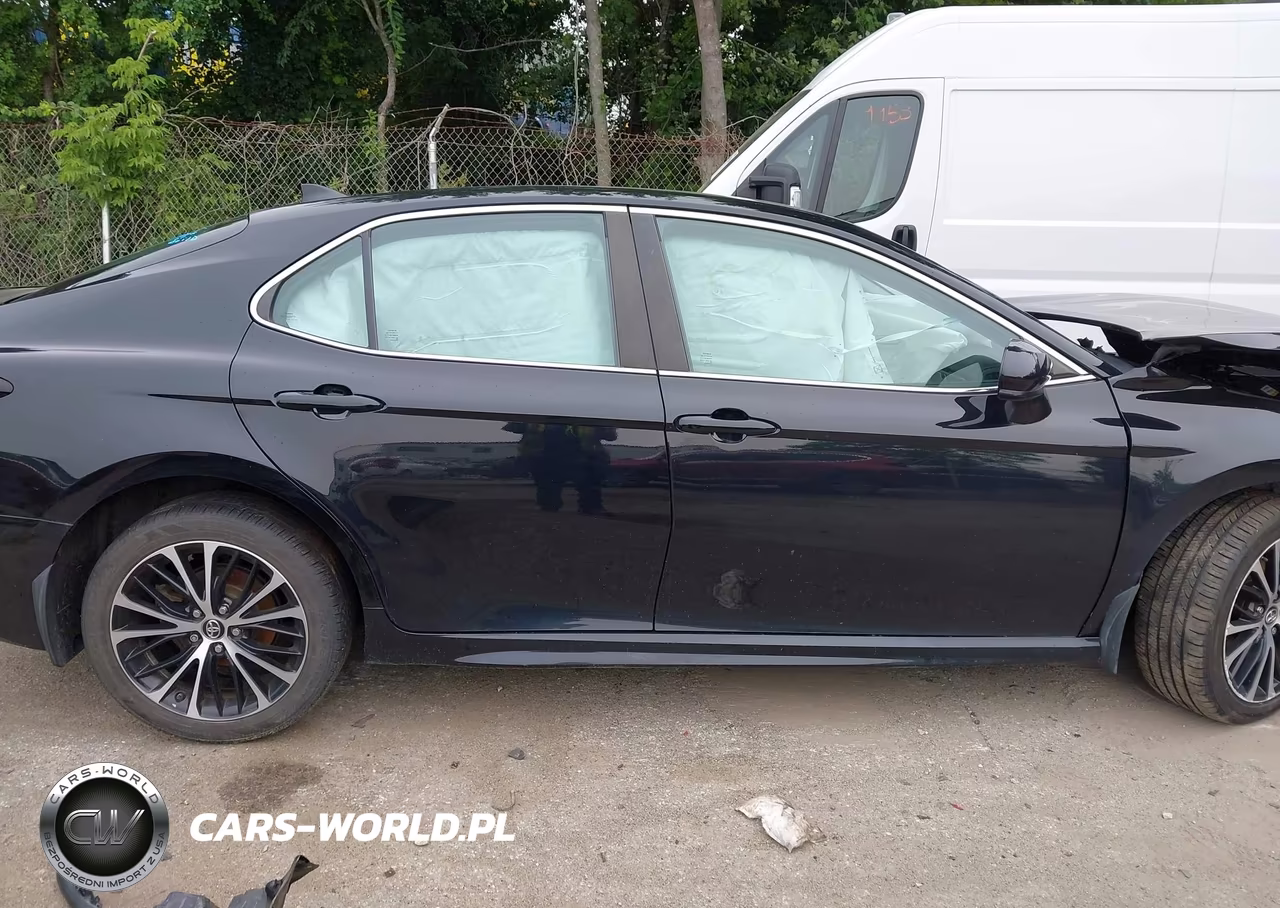 2019 Toyota Camry Se VIN:4T1B11HK0KU292449 - 12