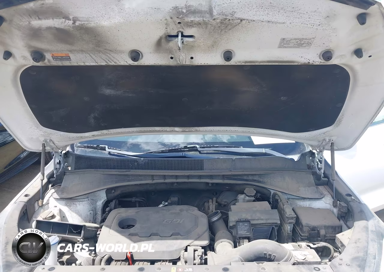 2016 Kia Sorento 2.4L Lx VIN:5XYPGDA37GG059934 - 10