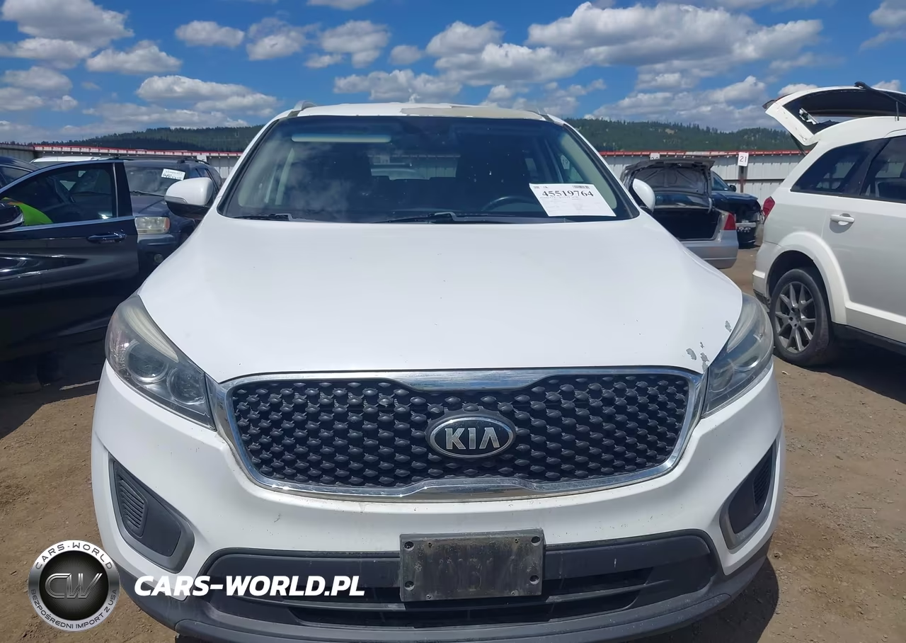 2016 Kia Sorento 2.4L Lx VIN:5XYPGDA37GG059934 - 12