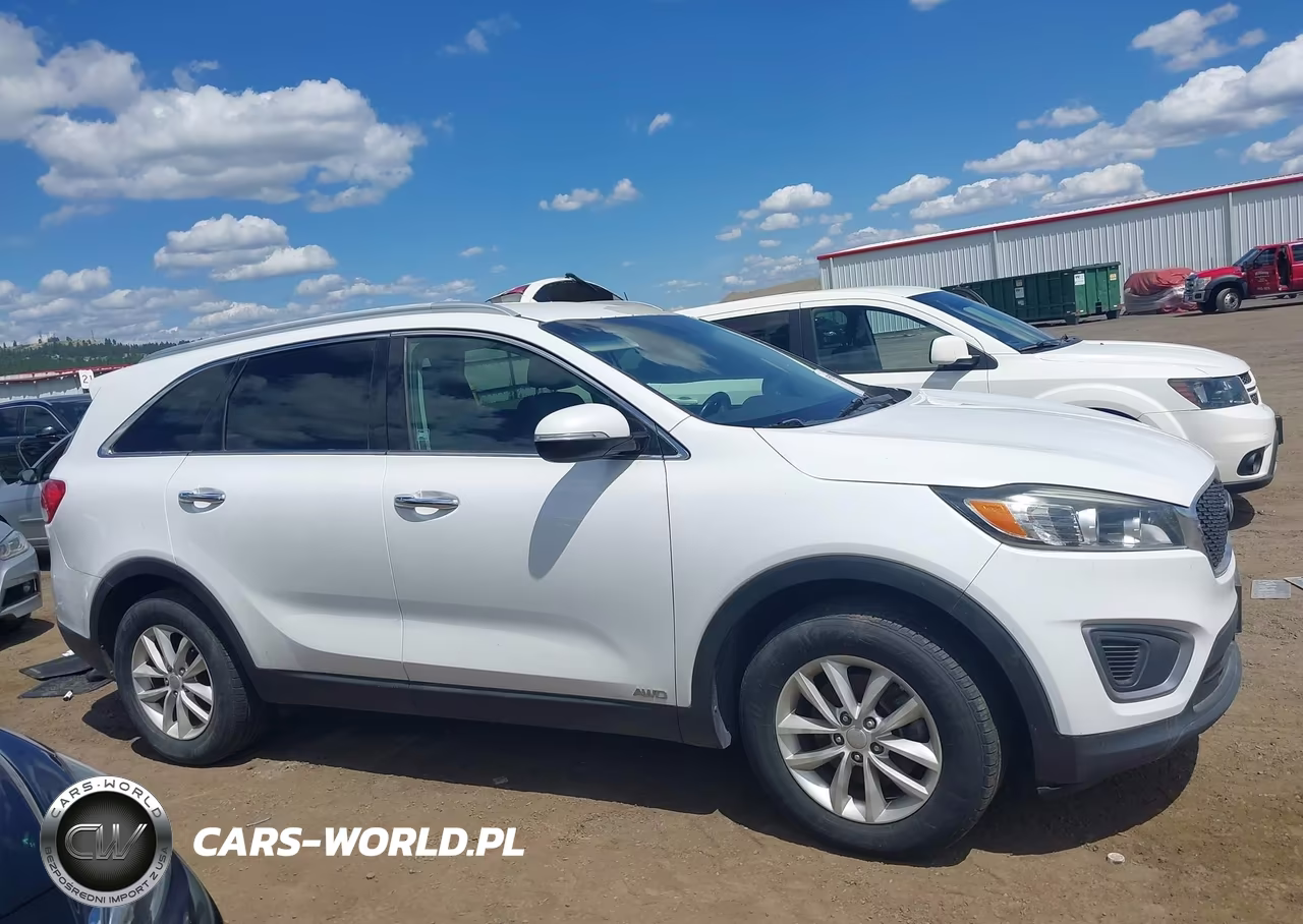 2016 Kia Sorento 2.4L Lx VIN:5XYPGDA37GG059934 - 13
