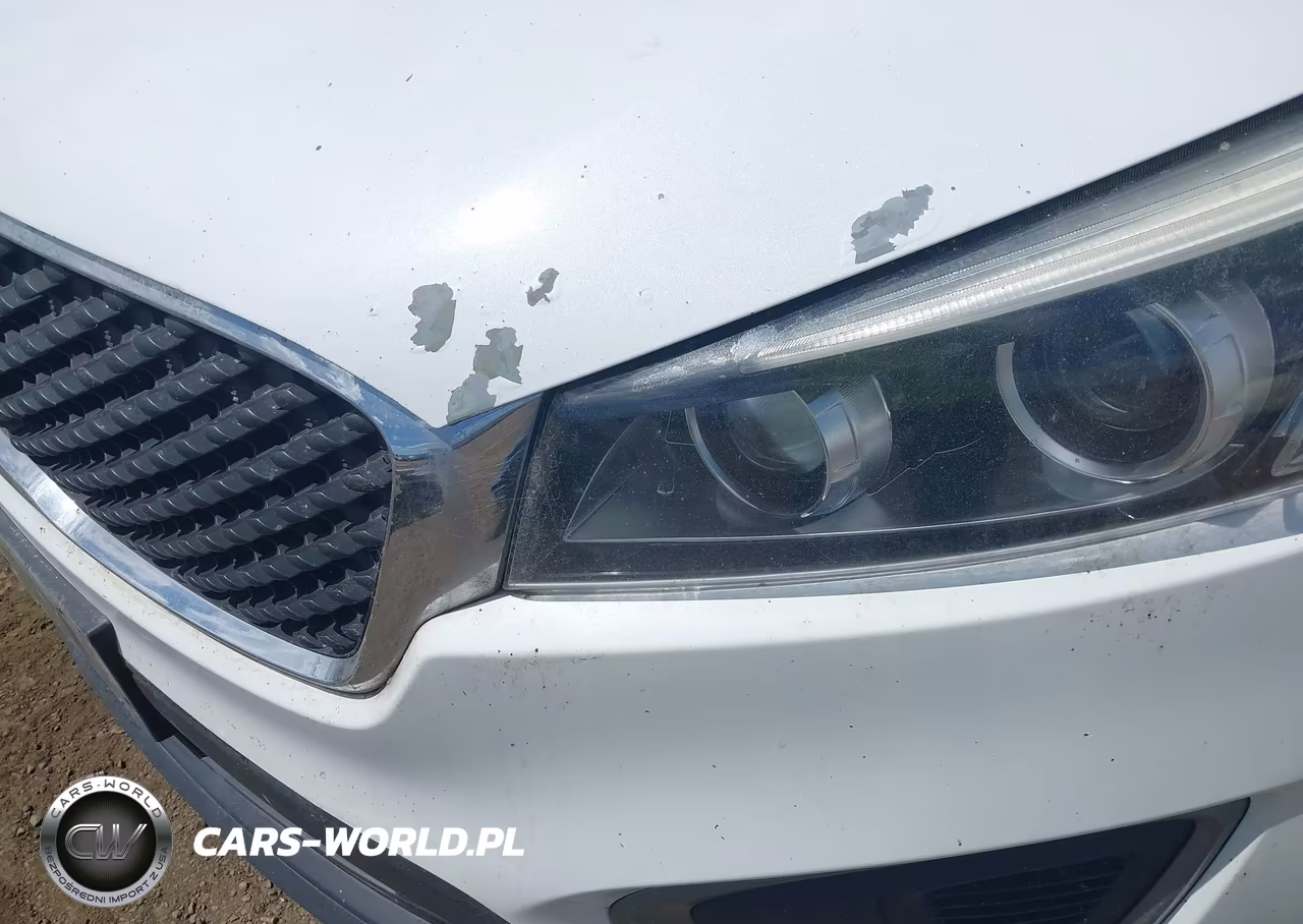 2016 Kia Sorento 2.4L Lx VIN:5XYPGDA37GG059934 - 17