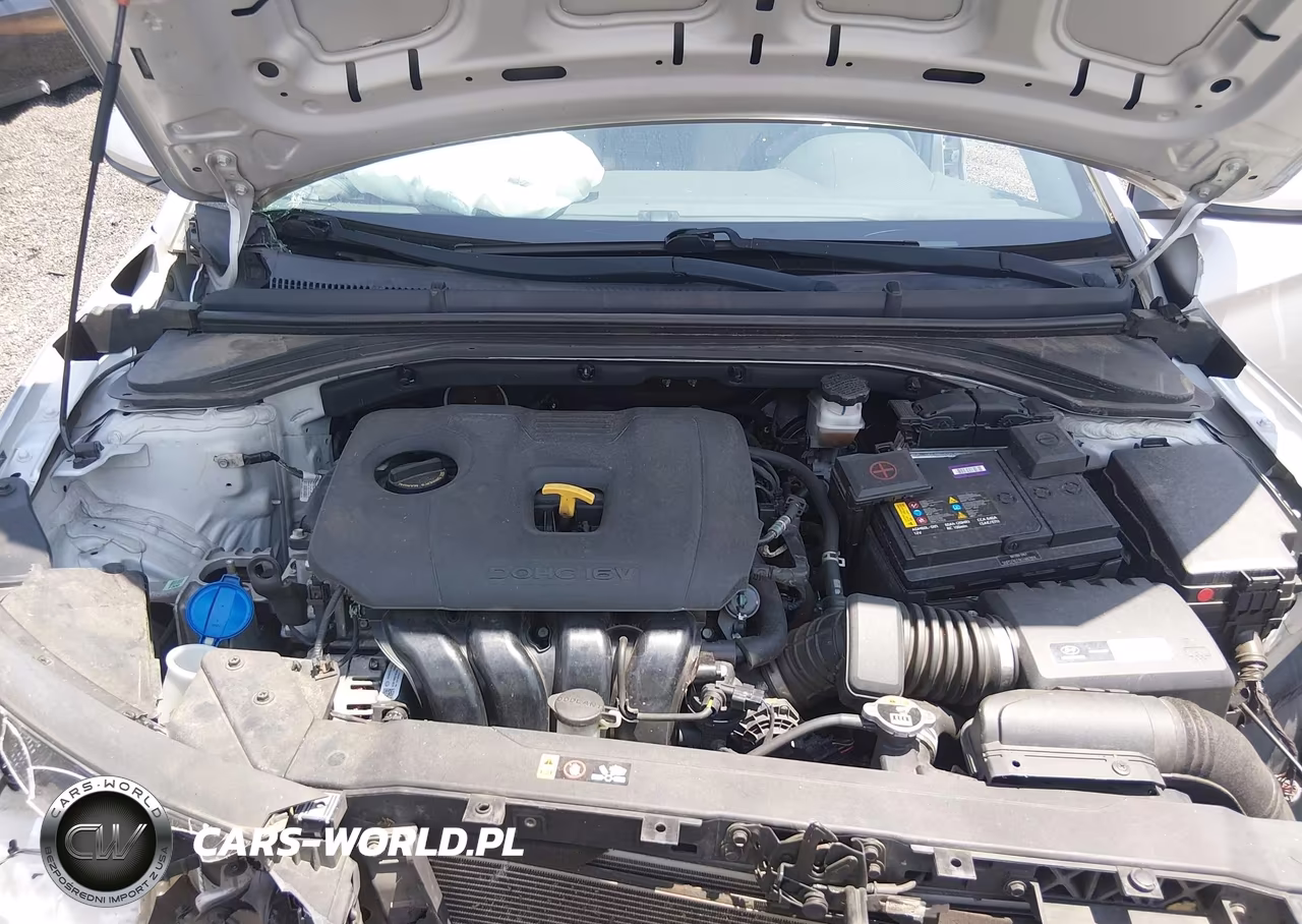 2019 Hyundai Elantra Se VIN:5NPD74LF8KH487894 - 10