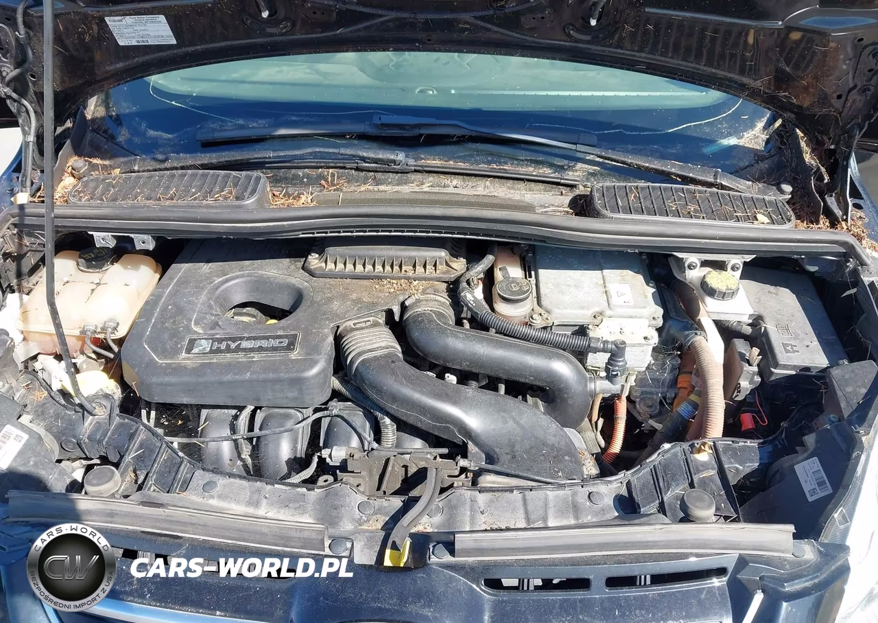 2018 Ford C-Max Hybrid Se VIN:1FADP5AU2JL106094 - 10