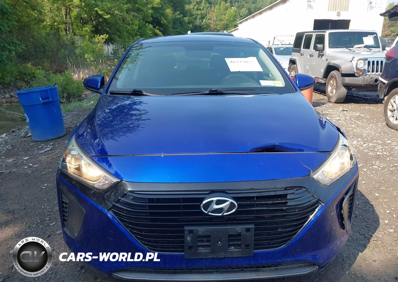 2019 Hyundai Ioniq Hybrid Blue VIN:KMHC65LCXKU128591 - 12