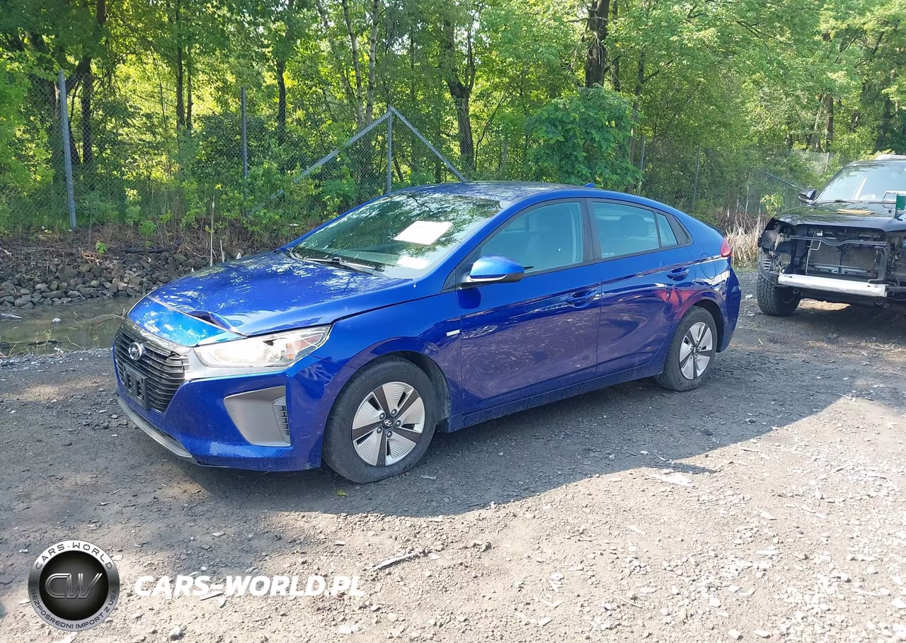 2019 Hyundai Ioniq Hybrid Blue VIN:KMHC65LCXKU128591 - 2
